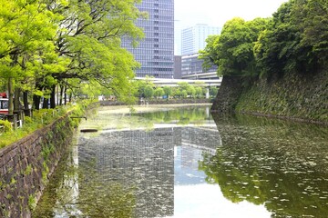 北の丸公園