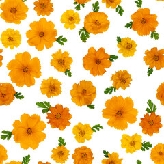 Seamless cosmos floral pattern