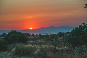 Obraz premium Celle, 15.08.2022