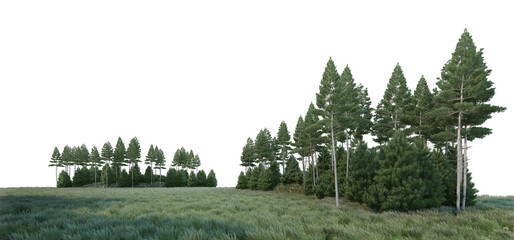 Coniferous forest on a transparent background  © jomphon
