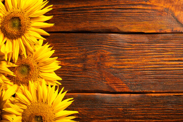 wievSunflower flowers on a wooden background. Top view