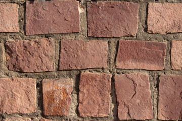 beautiful rose  stone background