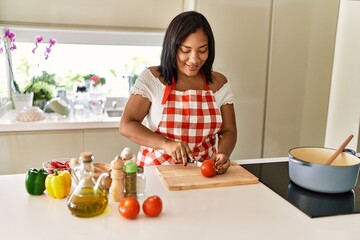 Hispanic brunette woman cooking cutting tomatoes at the kitchen