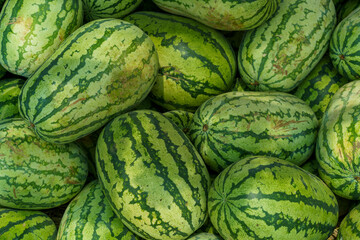 Fruit background. Lots Of Big Sweet Green Organic Ripe Watermelons