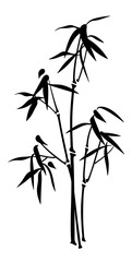 Bamboo. Isolated illustration of a bamboo branch.