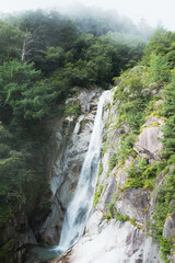 Fototapeta na wymiar 夏山の風景