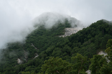 夏山の風景