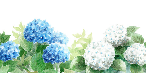 アナログ水彩白と青の紫陽花