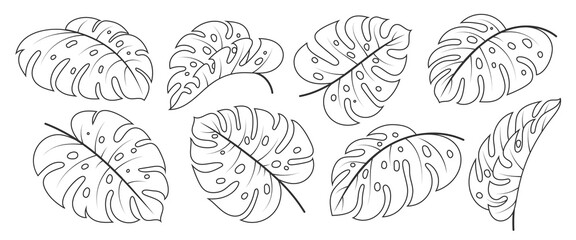 Monstera Deliciosa leaf black line icon set. Tropical exotic plant branch. Floral scrapbooking doodle hand drawn fashion vector design element. Outline philodendron foliage. Single leaves on white © VasiliyArt