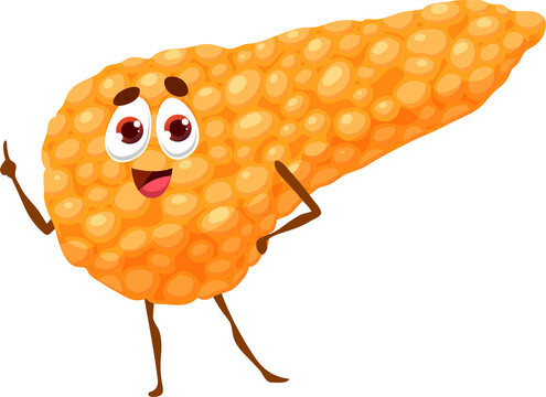 Human funny cartoon pancreas organ character