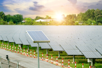 Solar panels (solar cell) in solar farm with blue sky and sun lighting .