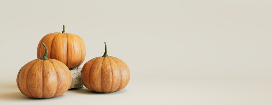 Contemporary Autumn Banner with a collection of Pumpkins on Grey background.
