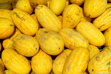 Natural background with lots of yellow watermelons