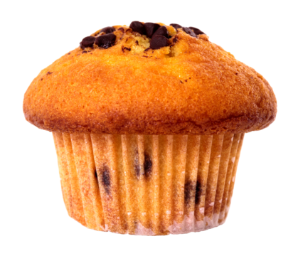 Chocolate chip muffin cake one single isolated transparent background photo PNG file