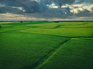 Fototapeta na wymiar View of A Rural Farmland in Wisconsin