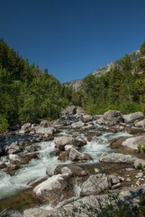 Fototapeta na wymiar West Rosebud Creek in Beartooth Mountains, Montana