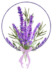 Obraz premium Lavender flowers watercolor with transparent background