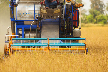 Close up Combine harvester driving on a rice field ready to be harvested