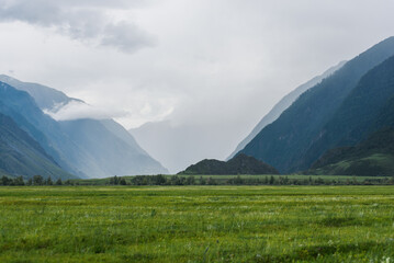 Fototapeta premium green valley among the mountains in cloudy weather. Mountain landscape
