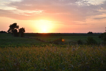 Rural Sunset