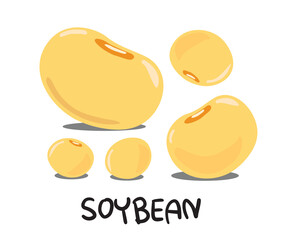 Soybean. Soybean logo. Soybean on white background. Soybean vector illustration in cartoon style. Soybeans icon.