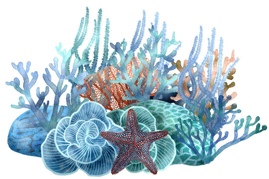under ocean life element with watercolor painted , Coral reef with transparent background