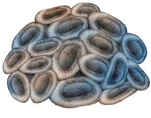 under ocean life element with watercolor painted , Coral reef with transparent background