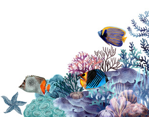 under ocean life element with watercolor painted , Coral reef with transparent background
