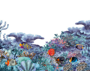 under ocean life element with watercolor painted , Coral reef with transparent background