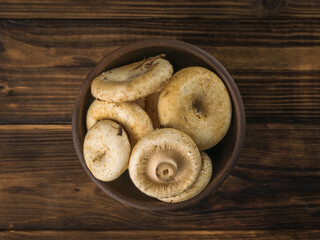 Milk mushrooms in a clay bowl on a blue background. Flat lay.