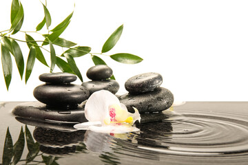 Spa stones, tropical branch, flower and water isolated on white