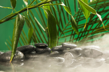 Spa stones in water and tropical branches on green background