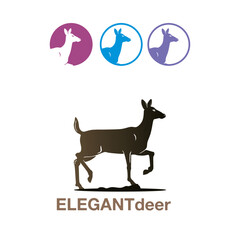 elegant deer logo, silhouette of great female deer walking, vector illustrations