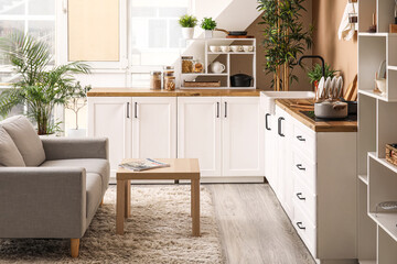 Interior of stylish kitchen with white counters, utensils and houseplants