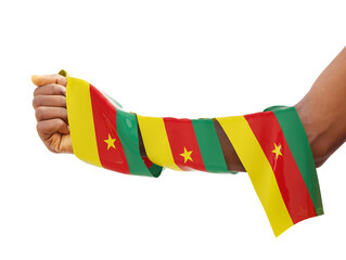 Hand wrapped in Cameroonian flag. fist with 3d rendered flag isolated on white background