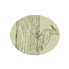 Woodpecker Pecking Tree Drawing