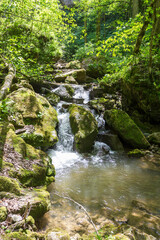 Mountain river, sources in the canyon of the stone bed, panorama of the area, summer season, in nature