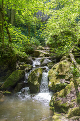 Mountain river, sources in the canyon of the stone bed, panorama of the area, summer season, in nature