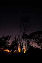 Sunset in the Peruvian jungle, with the waning moon in the background
