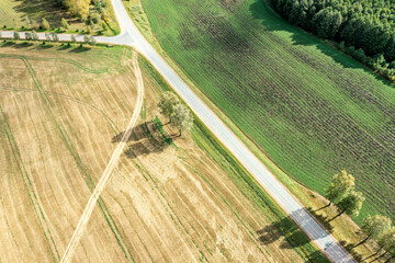 Fototapeta na wymiar countryside view from above with country road among wheat field and cultivated land in sunny autumn day. drone photo.