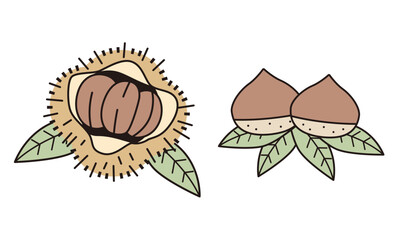 クリのイラスト素材。