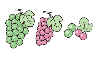 ブドウのイラスト素材。