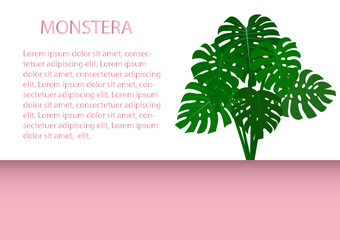 Monstera illustration vector Background Tropical.