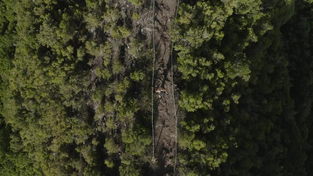 Top down drone shot of the landscape at Caminho Do Pinaculo e Foldhadal in Madeira with a fit and strong man walking on the rocky path on the top