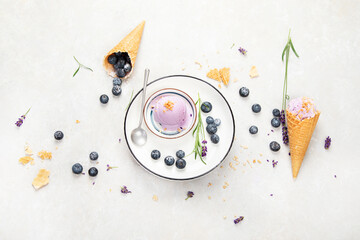 Organic blueberry ice-cream on neutral background.
