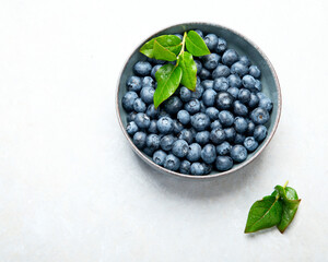 Fresh blueberry on neutral background.