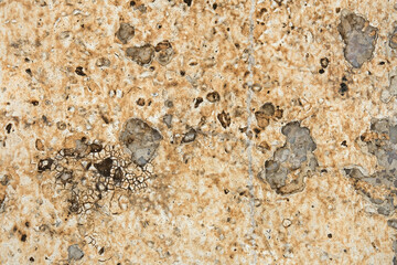 texture background