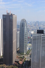 高層建築が立ち並ぶ東京都の風景