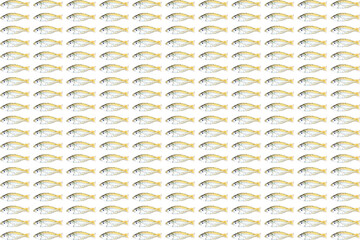 fish stock on white background