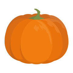 Vector illustration of a pumpkin isolated on white background.